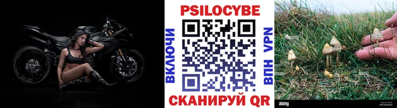 Псилоцибиновые грибы Magic Shrooms  купить закладку  Новосибирск 
